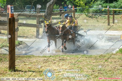 Mintakép 20260711-918