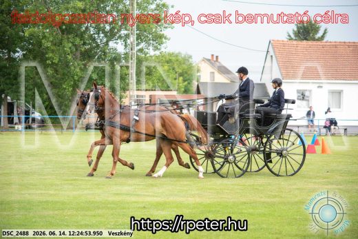 Mintakép 20260614-360
