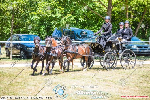 20260710-123012-DSC_7133.jpg