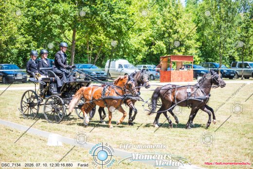 20260710-123016-DSC_7134.jpg