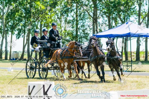 20260710-123032-DSC_8873.jpg