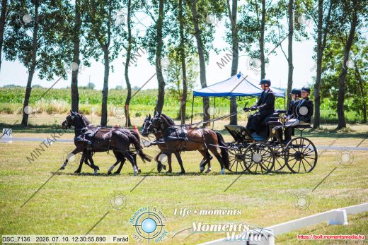 Mintakép 20260710-849
