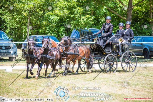 Mintakép 20260710-855
