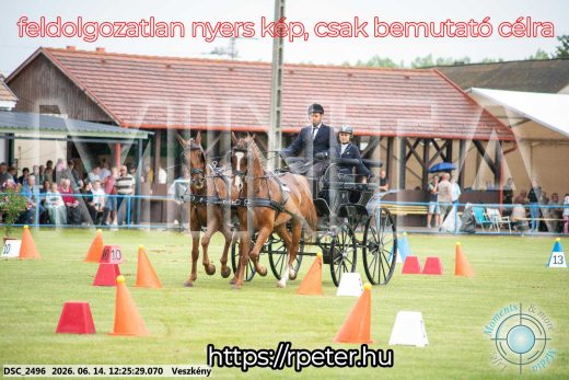 Mintakép 20260614-368