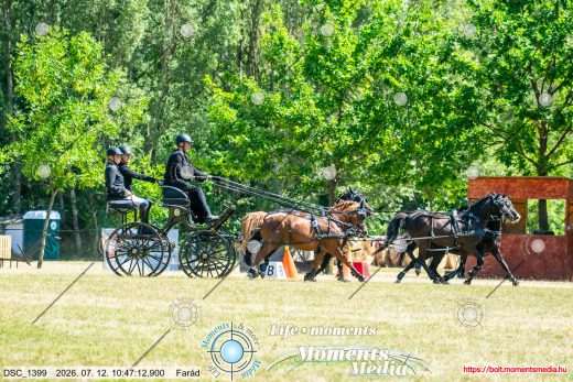 Mintakép 20260712-631