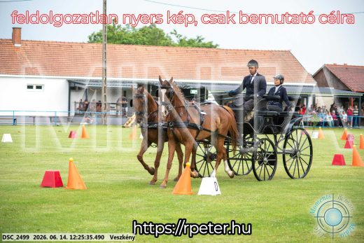 Mintakép 20260614-371