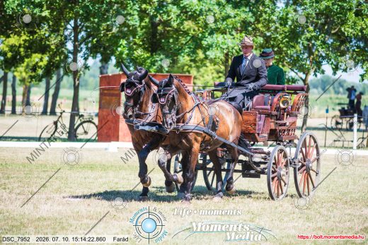 Mintakép 20260710-889