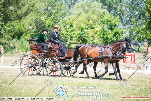 Mintakép 20260710-895