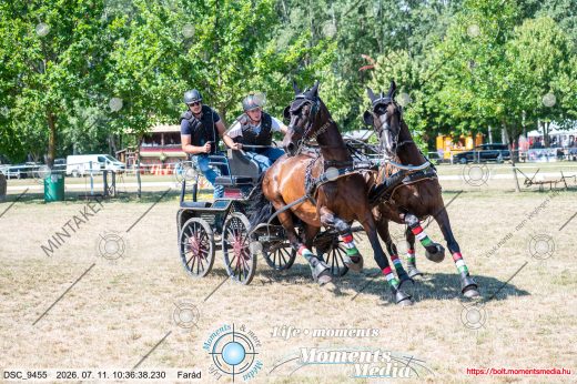 Mintakép 20260711-962