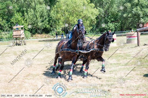 Mintakép 20260711-1001