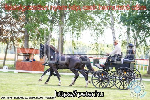 Mintakép 20260612-538