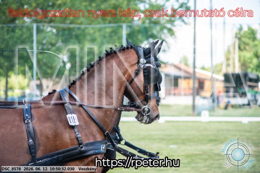 Mintakép 20260612-542
