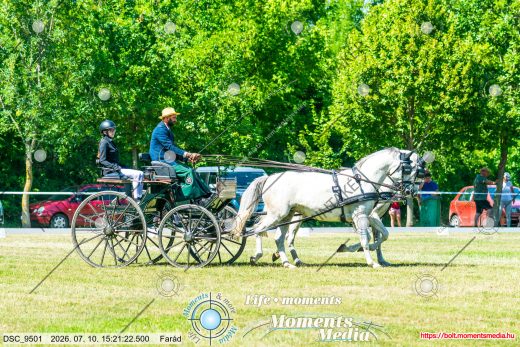 20260710-152122-DSC_9501.jpg