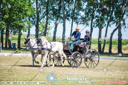 Mintakép 20260710-917