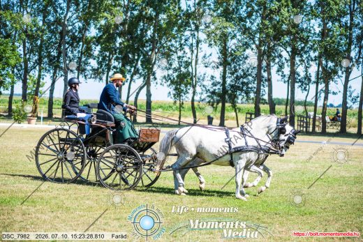 Mintakép 20260710-919