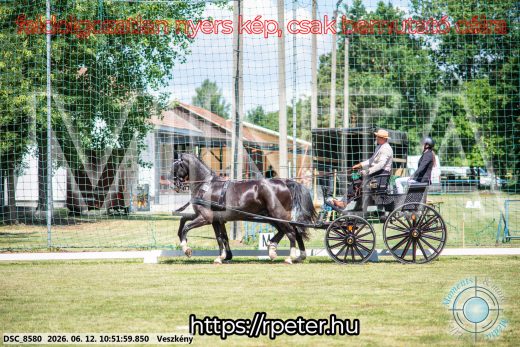 Mintakép 20260612-545