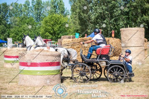 Mintakép 20260711-1039