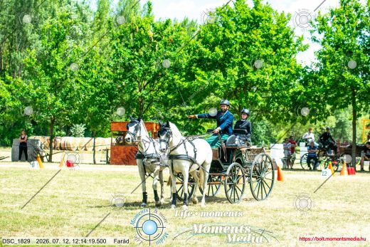 Mintakép 20260712-667