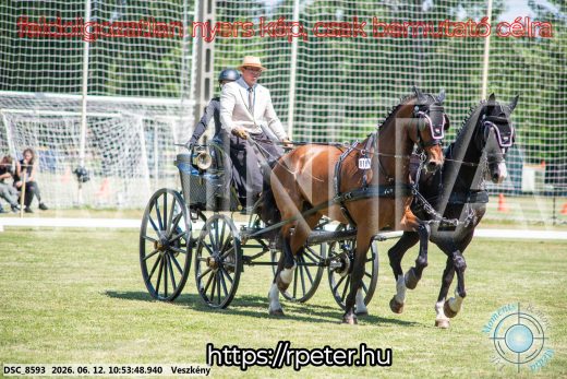 Mintakép 20260612-549