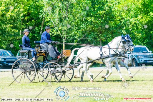 20260710-153023-DSC_9548.jpg