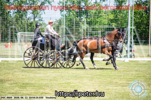 Mintakép 20260612-554
