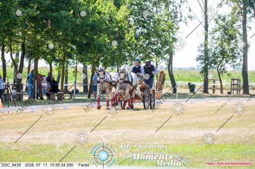 Mintakép 20260711-1049