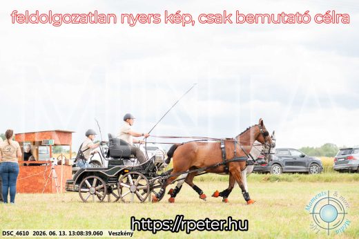 Mintakép 20260613-5
