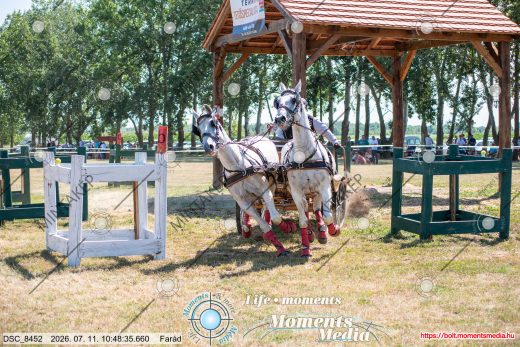 Mintakép 20260711-1059