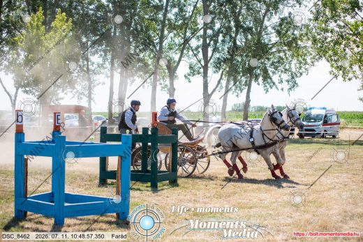 Mintakép 20260711-1062