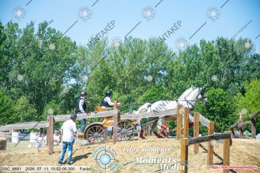 Mintakép 20260711-1067