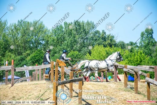 Mintakép 20260711-1068
