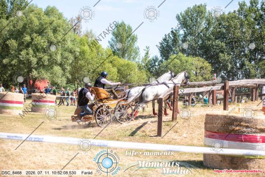 Mintakép 20260711-1069