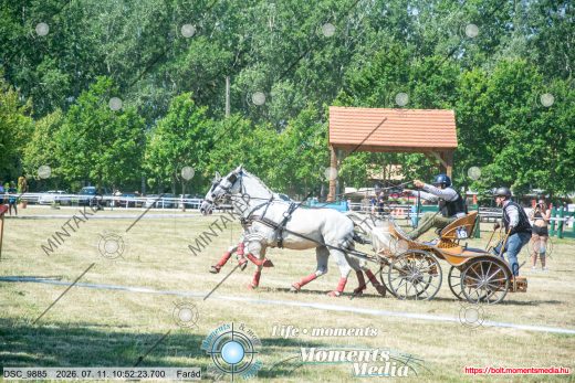 Mintakép 20260711-1073