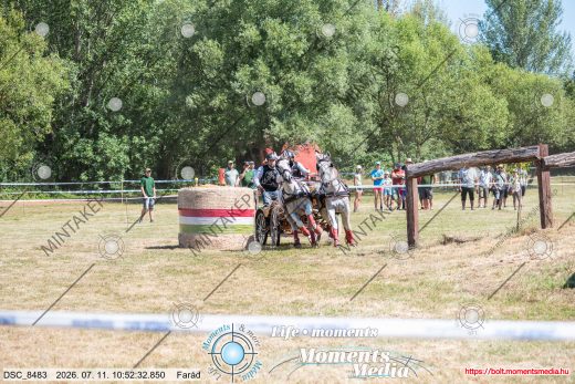 Mintakép 20260711-1075