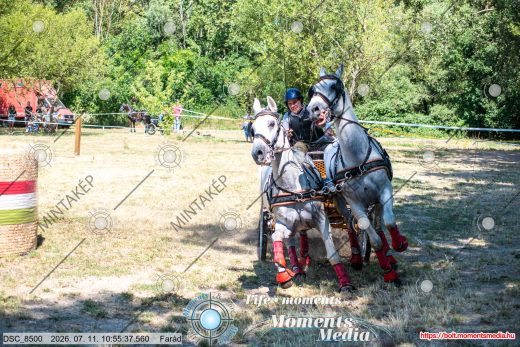 Mintakép 20260711-1079