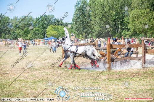 Mintakép 20260711-1082