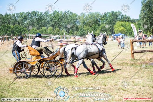 Mintakép 20260711-1084