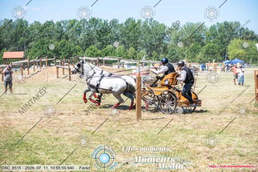 Mintakép 20260711-1085