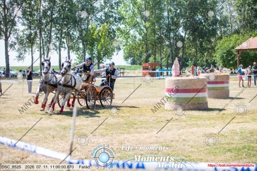 Mintakép 20260711-1086