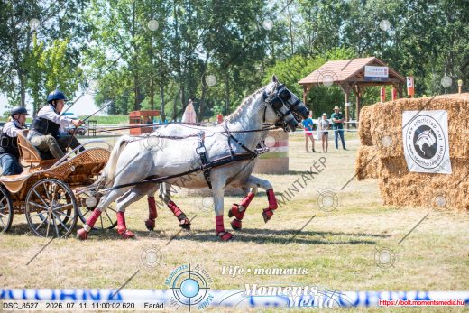 Mintakép 20260711-1087