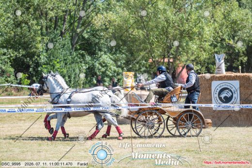 Mintakép 20260711-1089