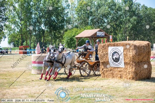 Mintakép 20260711-1091