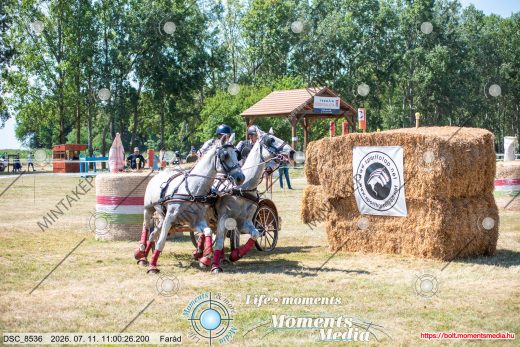 Mintakép 20260711-1092