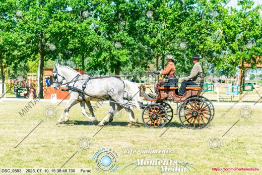 20260710-153848-DSC_9593.jpg