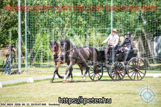 Mintakép 20260612-563