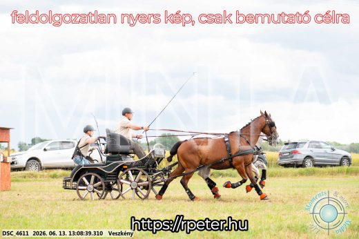 Mintakép 20260613-6