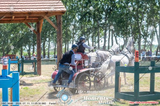 Mintakép 20260711-1115