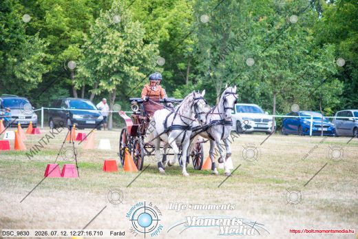 Mintakép 20260712-721