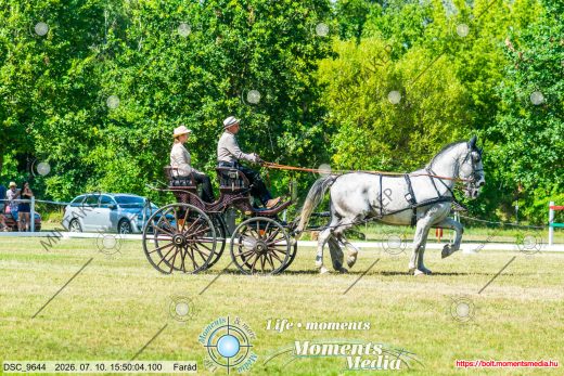 20260710-155004-DSC_9644.jpg