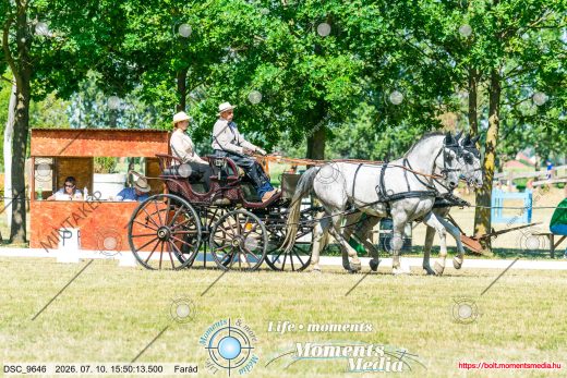 20260710-155013-DSC_9646.jpg
